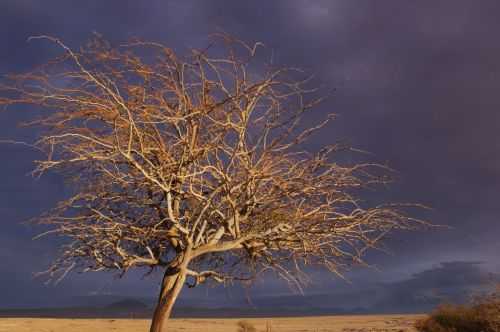 TREKKING NEL DESERTO DI ATACAMA 2015